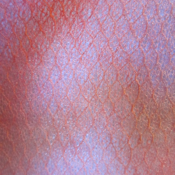 BKE Pink Mesh Blouse (S) - Picture 4 of 4